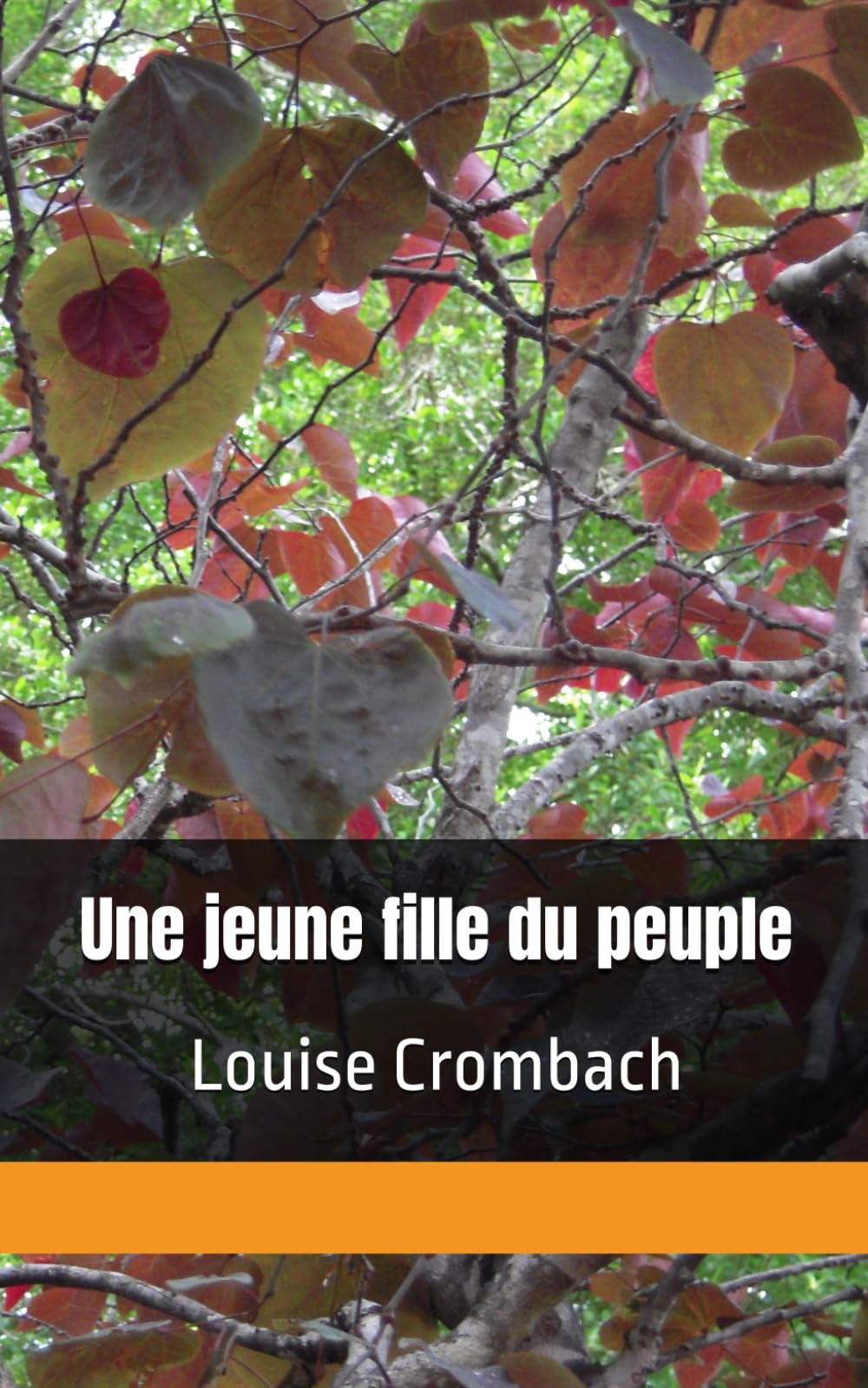 Une jeune fille du peuple: Louise Crombach