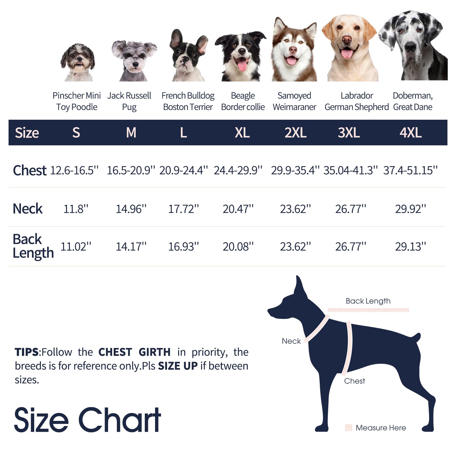 IECOii Cappotti e giubbotti per cani,Cappotto invernale per cani impermeabile giubbotto cane calda Giacca per cani antivento Abbigliamento per cani Completo per cani di taglia piccola di taglia media