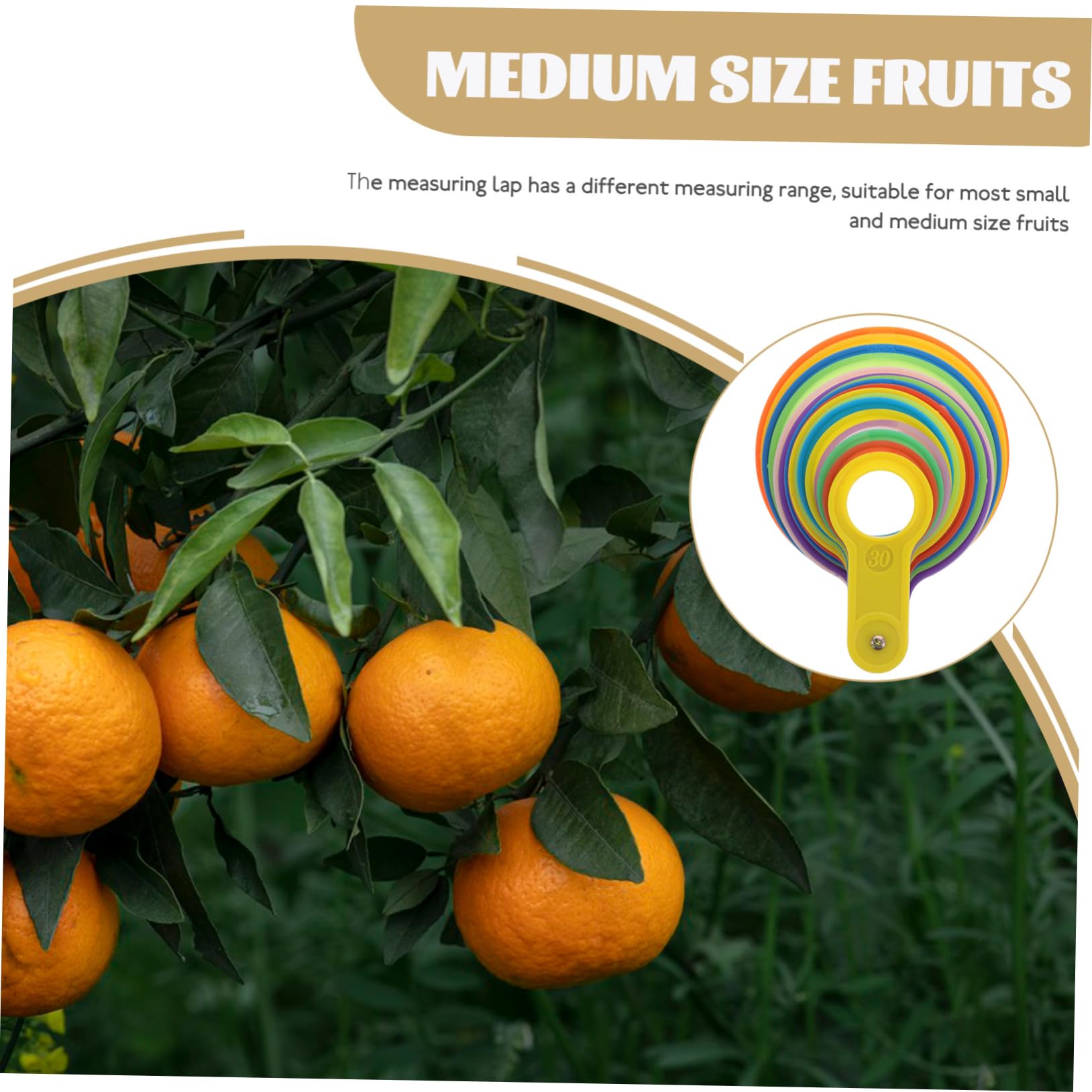 Calibreur Fruits Plastique Mesure Diamètre Anneaux Couleurs Mixtes Pour