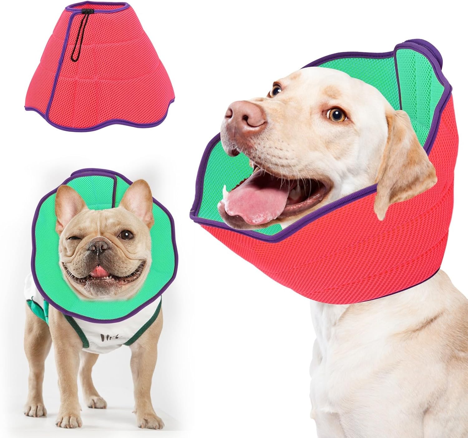 Pawqeen Soft Cone for Large Dogs Alternative After Surgery