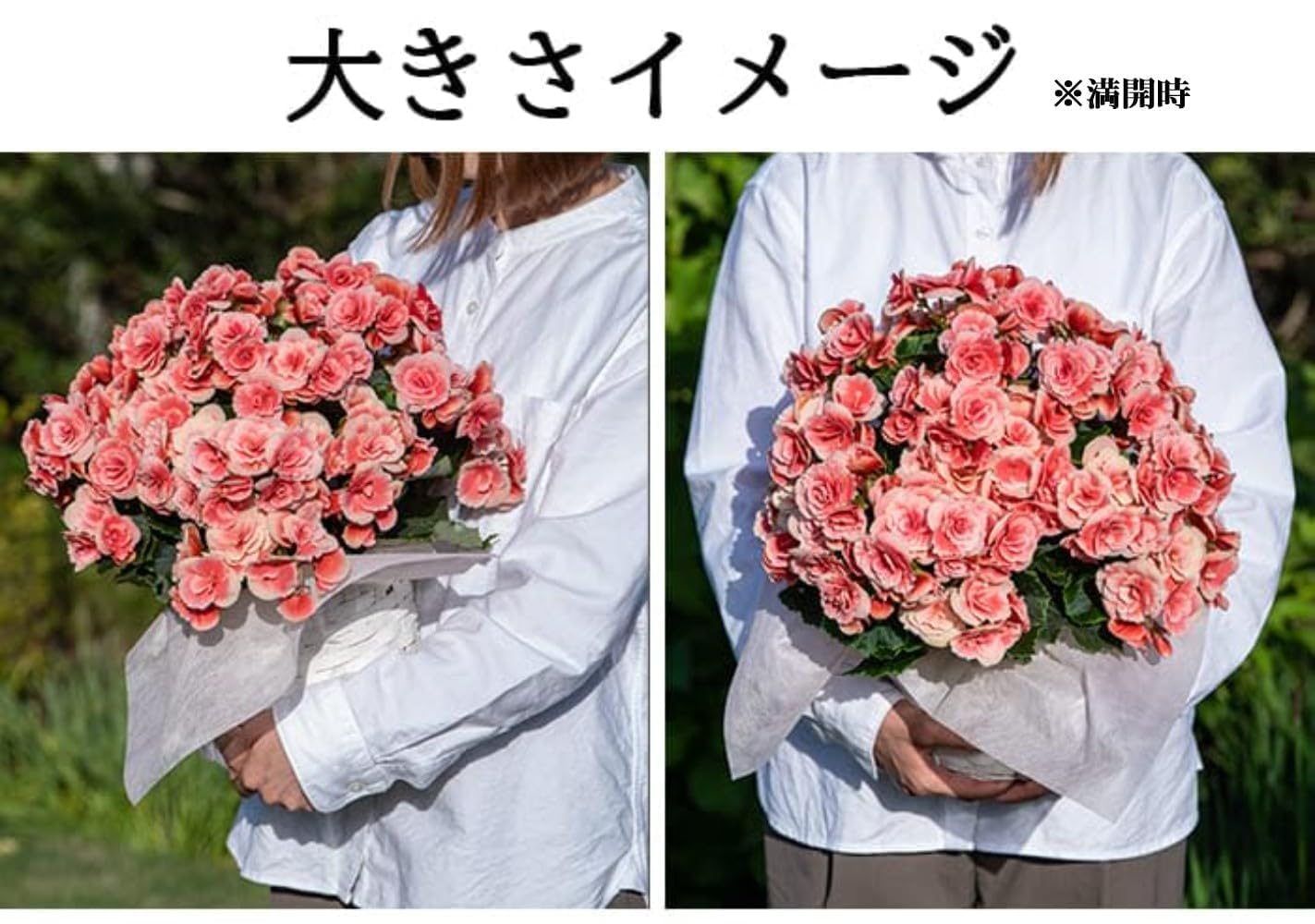 Amazon｜[World Fantasy Garden] 遅れてごめんね 母の日 花 ギフト