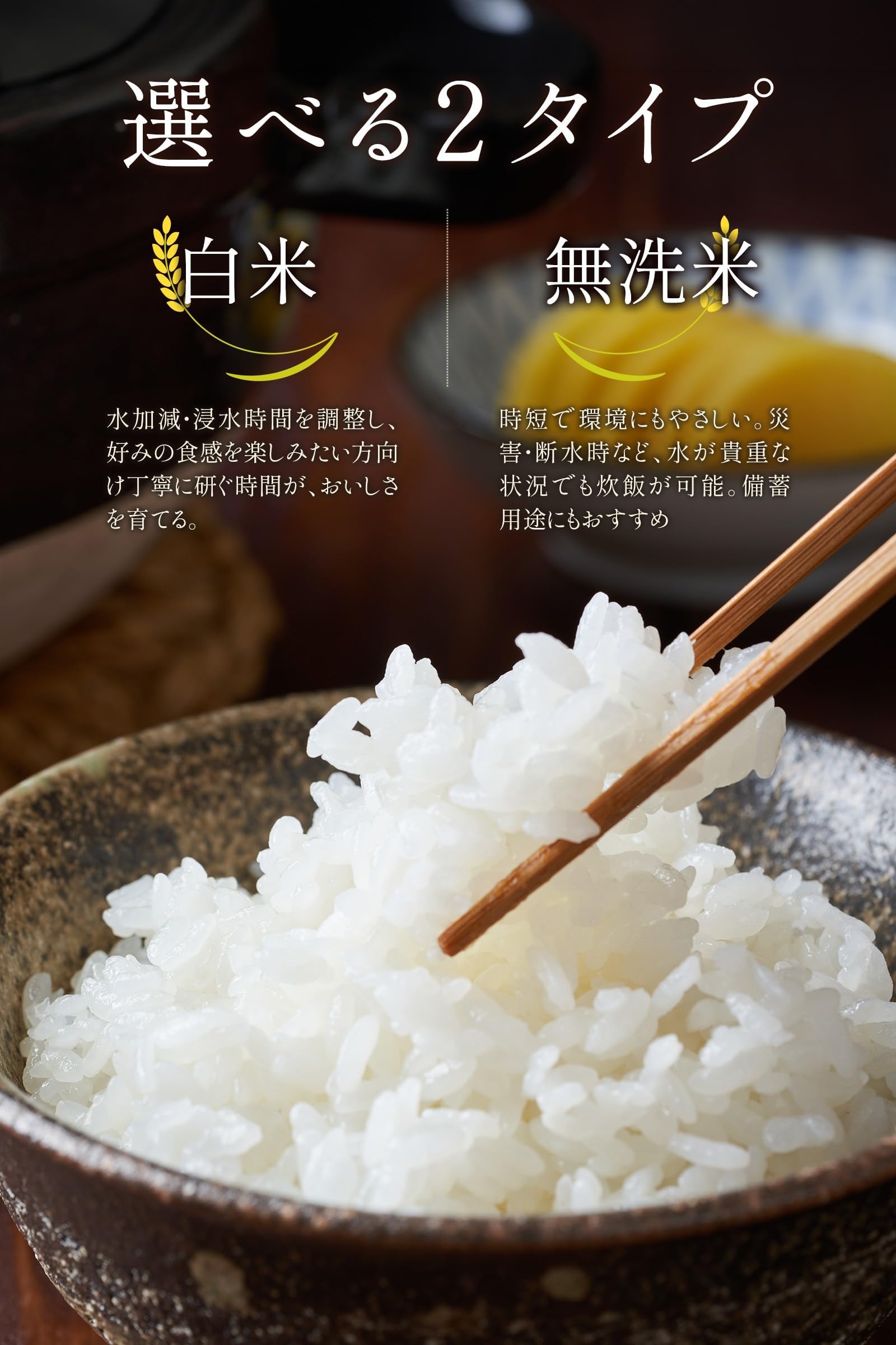 Amazon.co.jp: 【白米 20kg 森のくまさん 】令和7年産 熊本県産