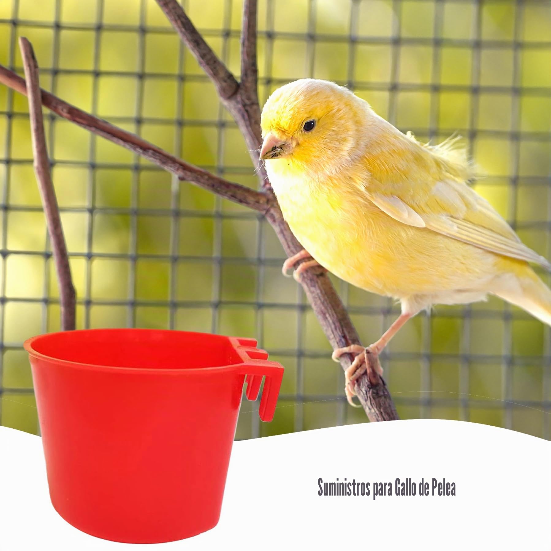 Suministros de Gallo de Juegos de alimentación de Palomas, alimentador de plástico de 50 Piezas de plástico, alimentador de Pollo Colgante, Suministros de alimentación y riego de Aves fácil