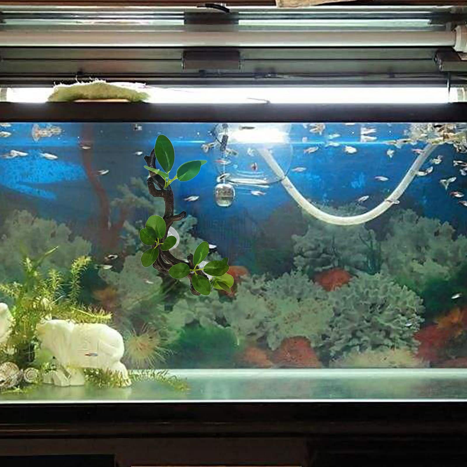 Ramo rampicante per rettili, terrario con ventosa, decorazione per acquari