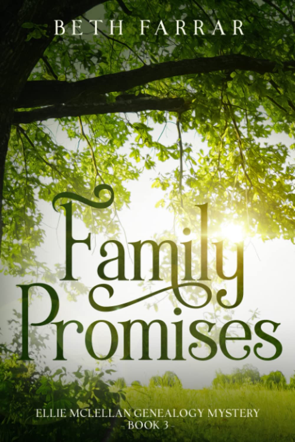Family Promises: Ellie McLellan Genealogy Mystery
