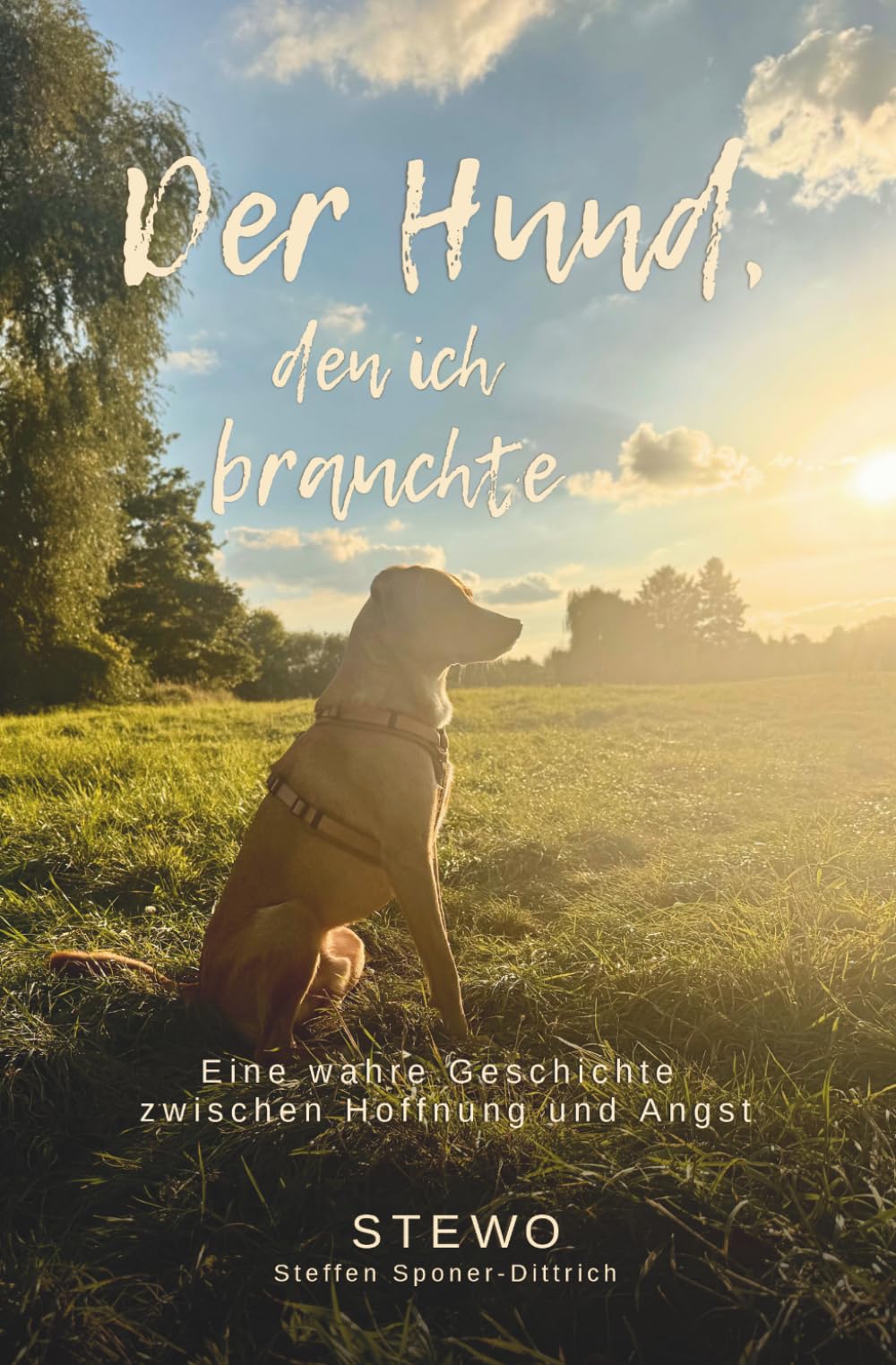 Der Hund, den ich brauchte: Teil 2 Eine wahre Geschichte zwischen Hoffnung und Angst