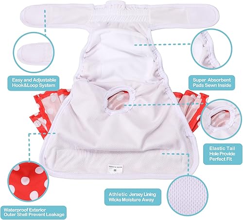 Miniatura 4 de Avont Paquete de 3 pañales lavables para perras hembras (L18-24), pañales reutilizables para perras, pañales para el ciclo de calor, incontinencia,