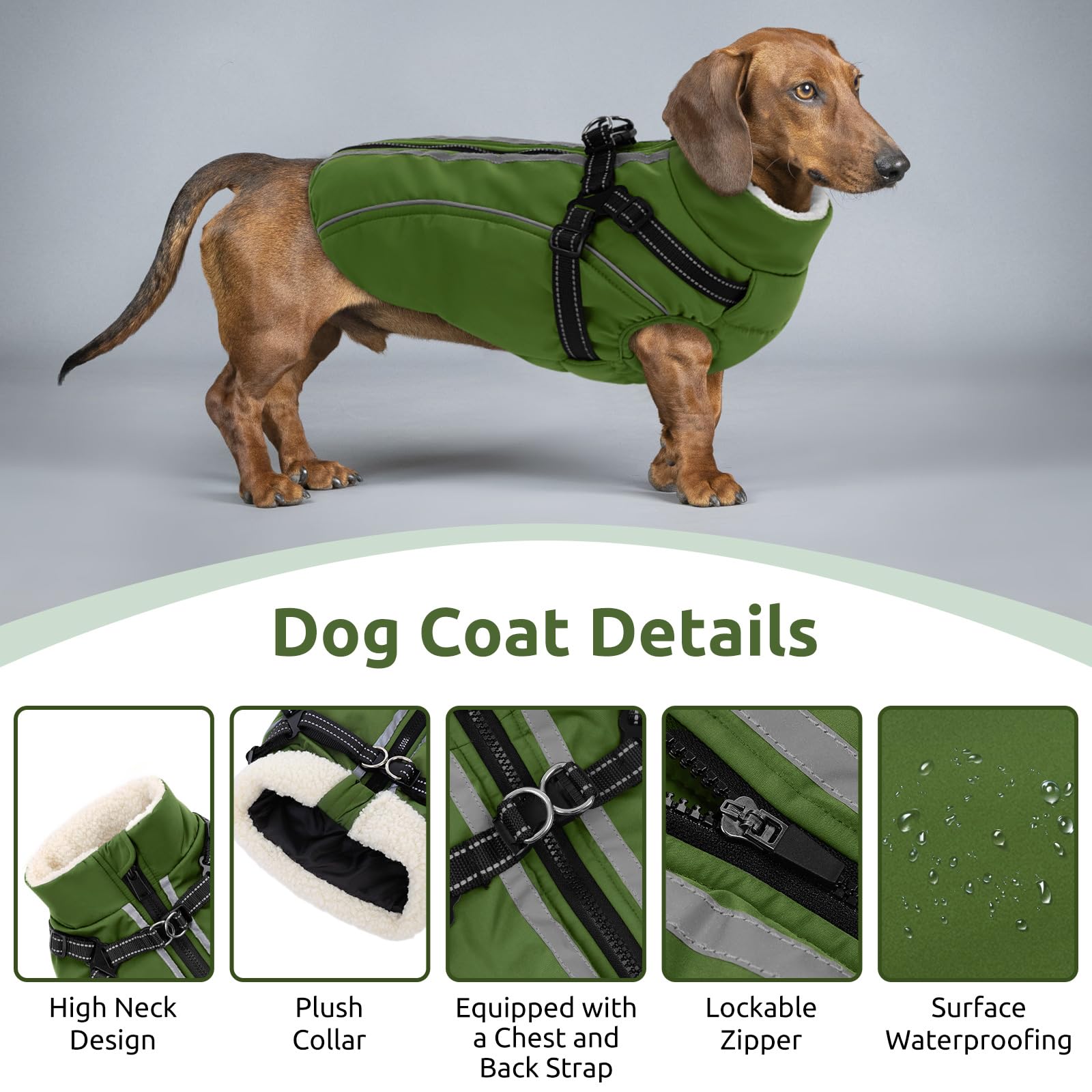 CITÉTOILE Abrigo Impermeable para Perro Antiviento - Chaleco Térmico de Invierno con Forro Polar, Chaqueta Reflectante para Mascotas con Cremallera y Rayas Seguras, Verde, XXL