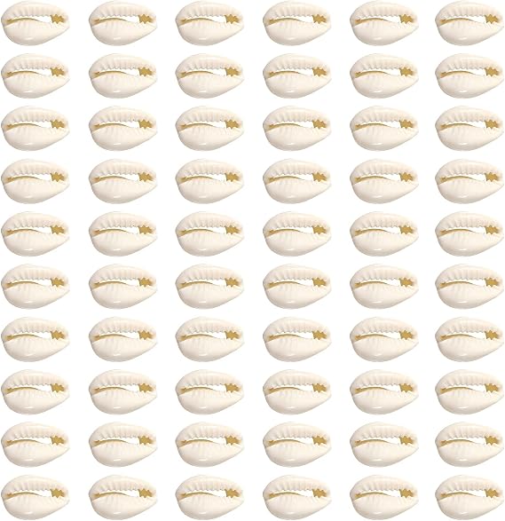 TOAOB 200pcs Natural Spiral Shell Beads 12 to 16mm Cowrie Shells Open Back Sea Shells Beach Seashells Charms Beads with Hole for DIY Crafts Jewelry Making