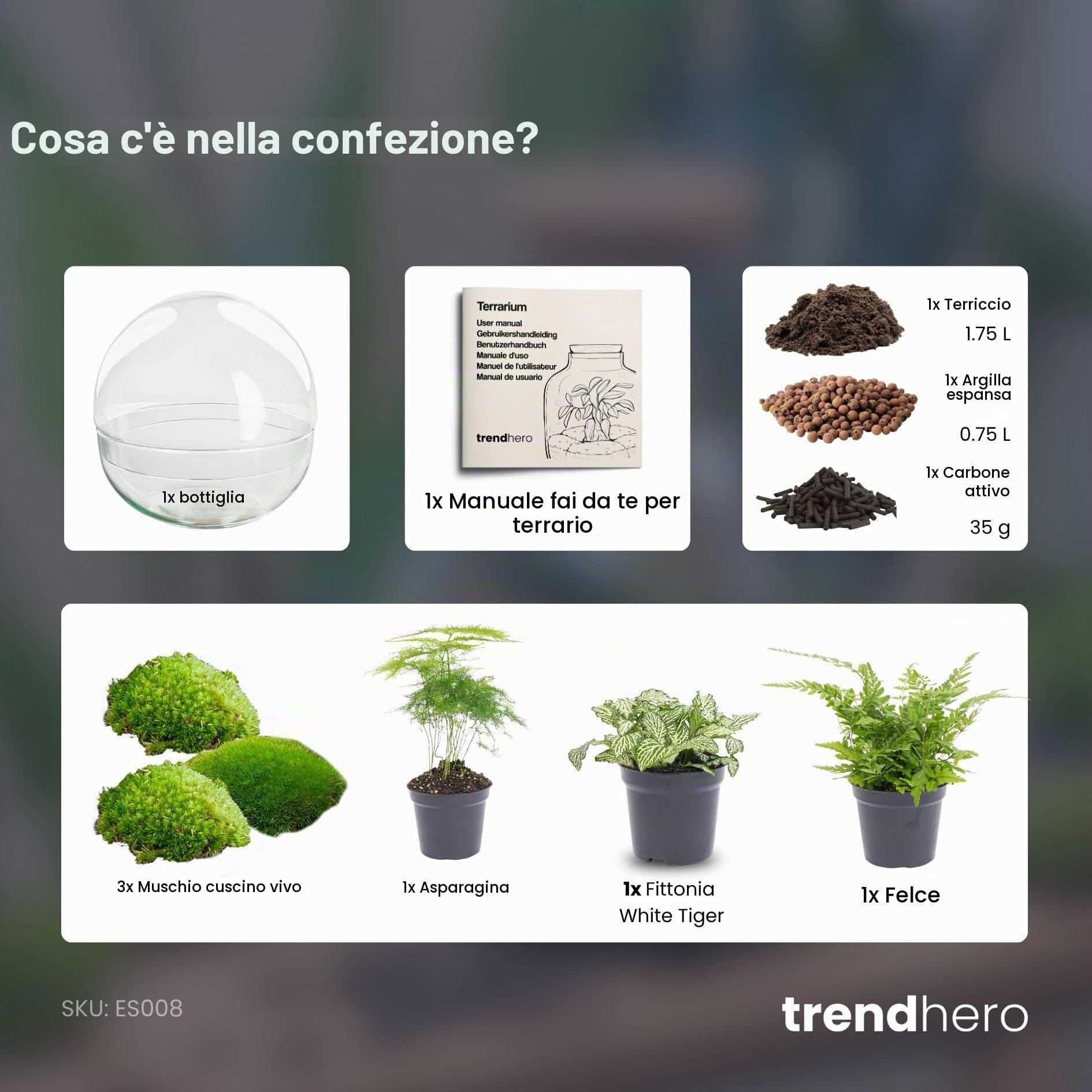 Terrario per piante - Dome XL - Pianta ecosistema - ↑ 30 cm
