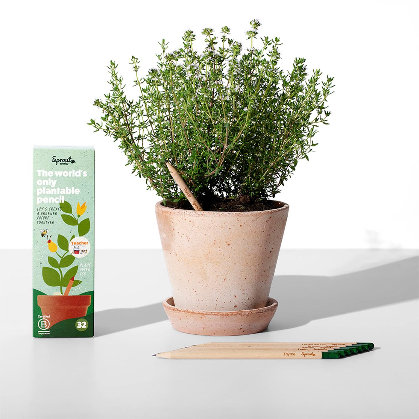 SproutWorld Houten Potloden | Grow a Garden Box | voorgespitse HB-grafietpotloden om te planten met 4 verschillende soorten zaden | Gecertificeerd hout | 100 stuks | Groot Voordeelpakket
