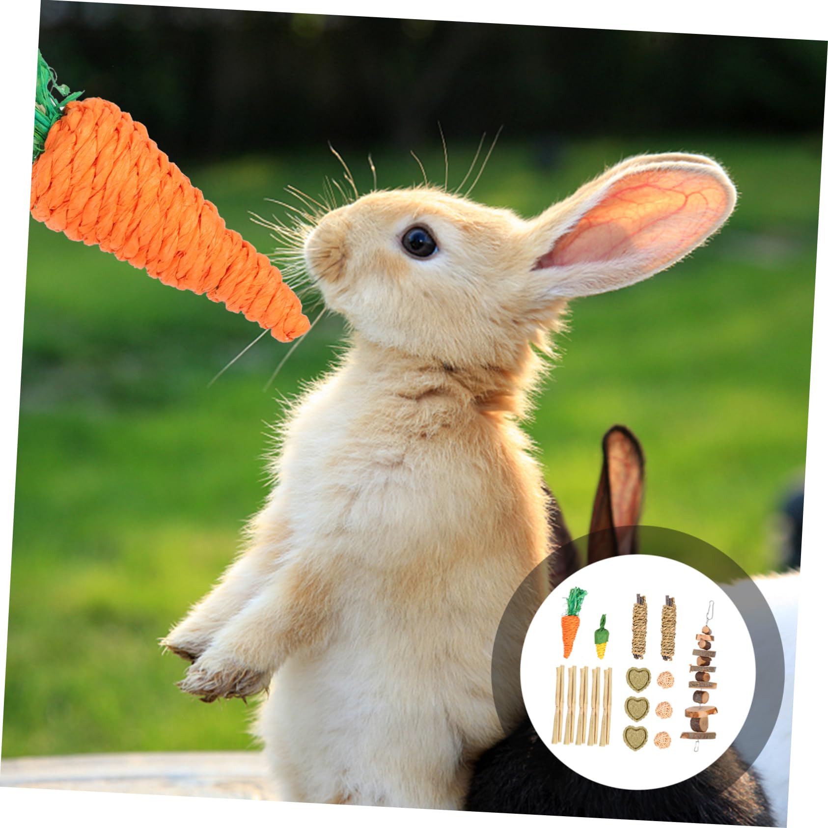 Beavorty 2sätze Kauspielzeug Für Kleintiere Teiliges Holzspielzeug Für Hamster Meerschweinchen Und Kaninchen Für Gesunde Zähne Und Spielspaß Mixed Style