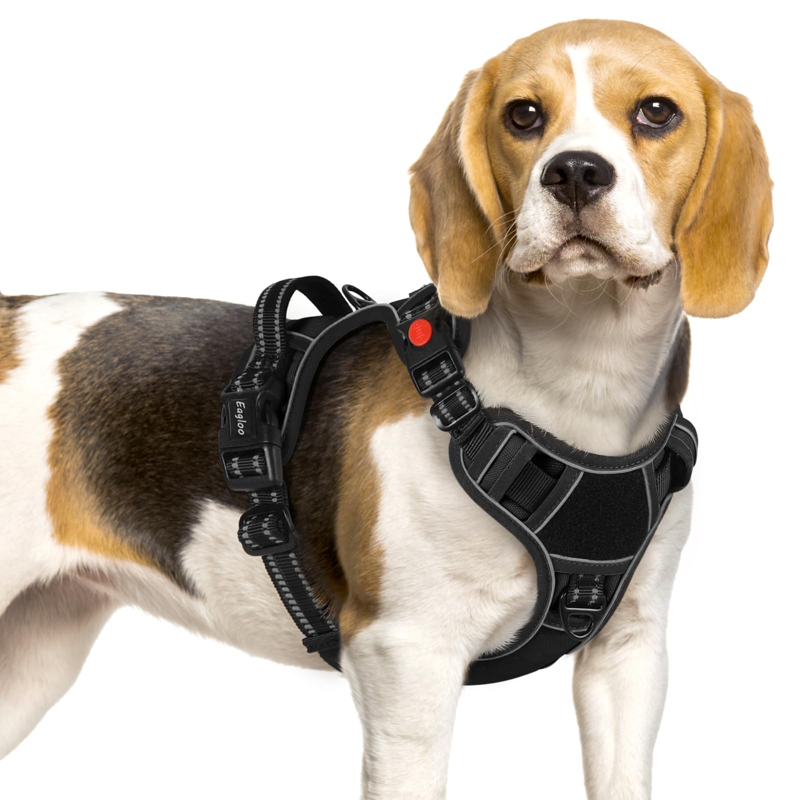 Eagloo Dog Harness Small Dog, Easy to Wear & Adjustable with 3 Buckles