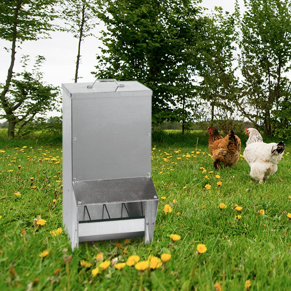 FINCA CASAREJO - Tolva Chapa Galvanizada 17kg - Comedero para Aves de Corral - Incluye 150 Gramos de Conchilla Plus y Guía de Alimentación de Las Gallinas