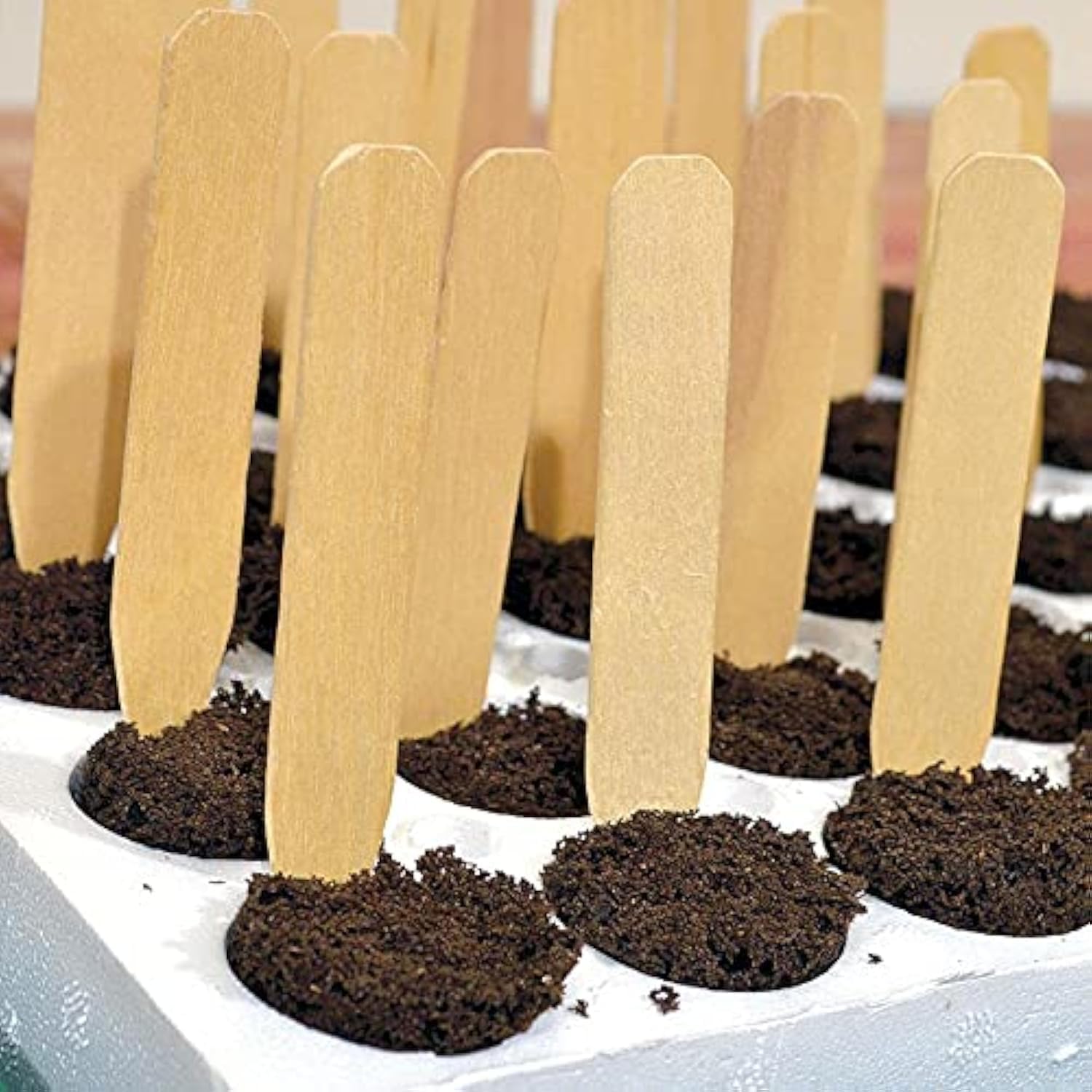 Park Seed Plant Tags White Birch 8-inch - Pack of 50