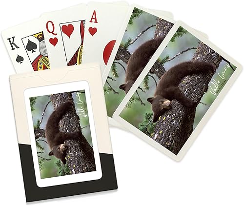 Lantern Press Valle Crucis, Carolina del Norte, Bear Cub Sleeping (52 cartas de juego, baraja de cartas de tamaño póquer con comodines)