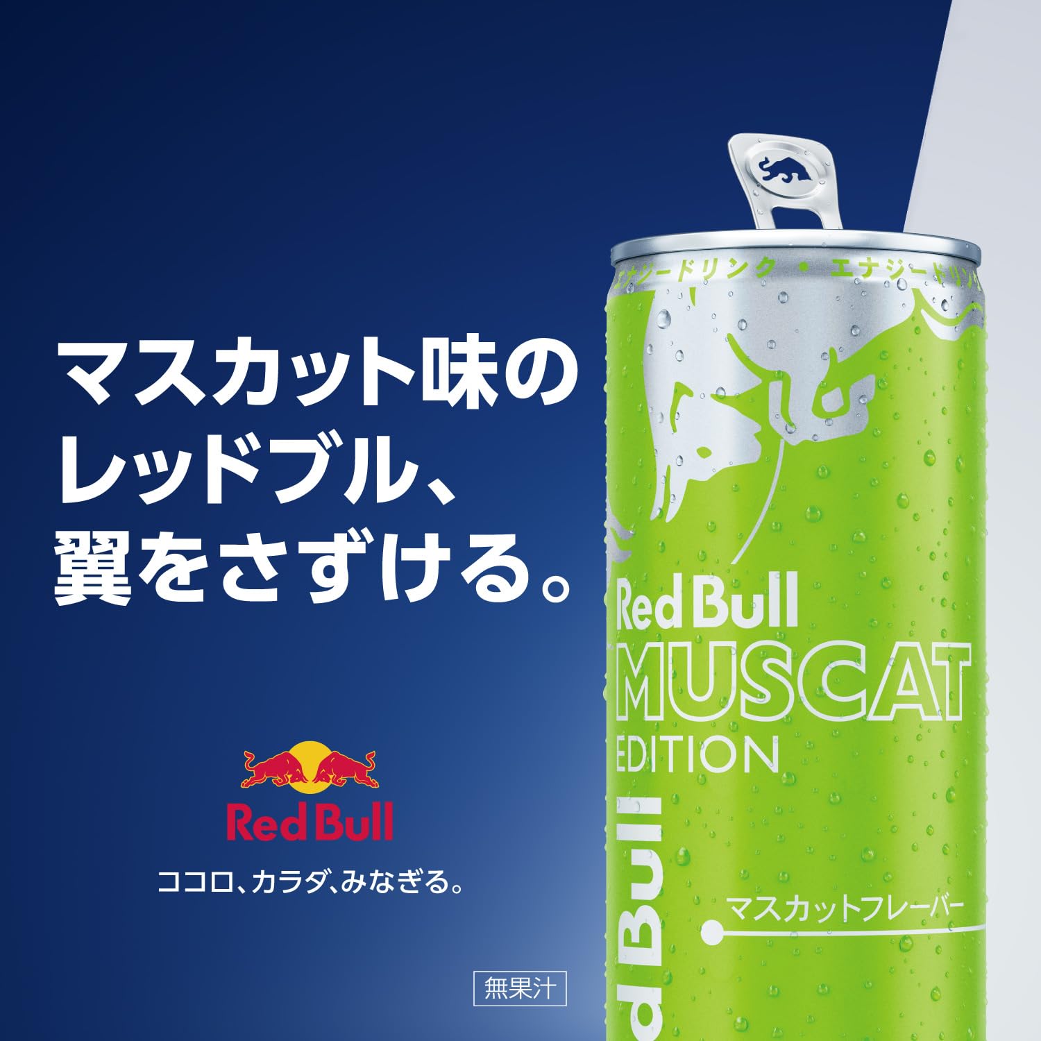 Amazon.co.jp: Red Bull Energy Drink Green Edition 250ml x 24 cans