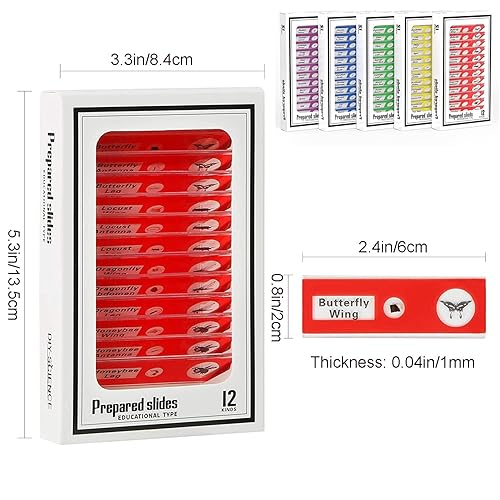 Miniatura 4 de Ninyoon 60 portaobjetos de microscopio con muestras para niños - Diapositivas de microscopio estéreo preparadas para niños para microscopio estéreo