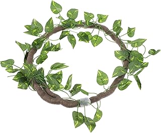 Didiseaon 2 Conjuntos De Videiras Para Paisagismo De Animais De Estimação Videiras Da Selva Habitat De Répteis Planta Artificial Para Répteis Escalador De Répteis Ramos Falsos