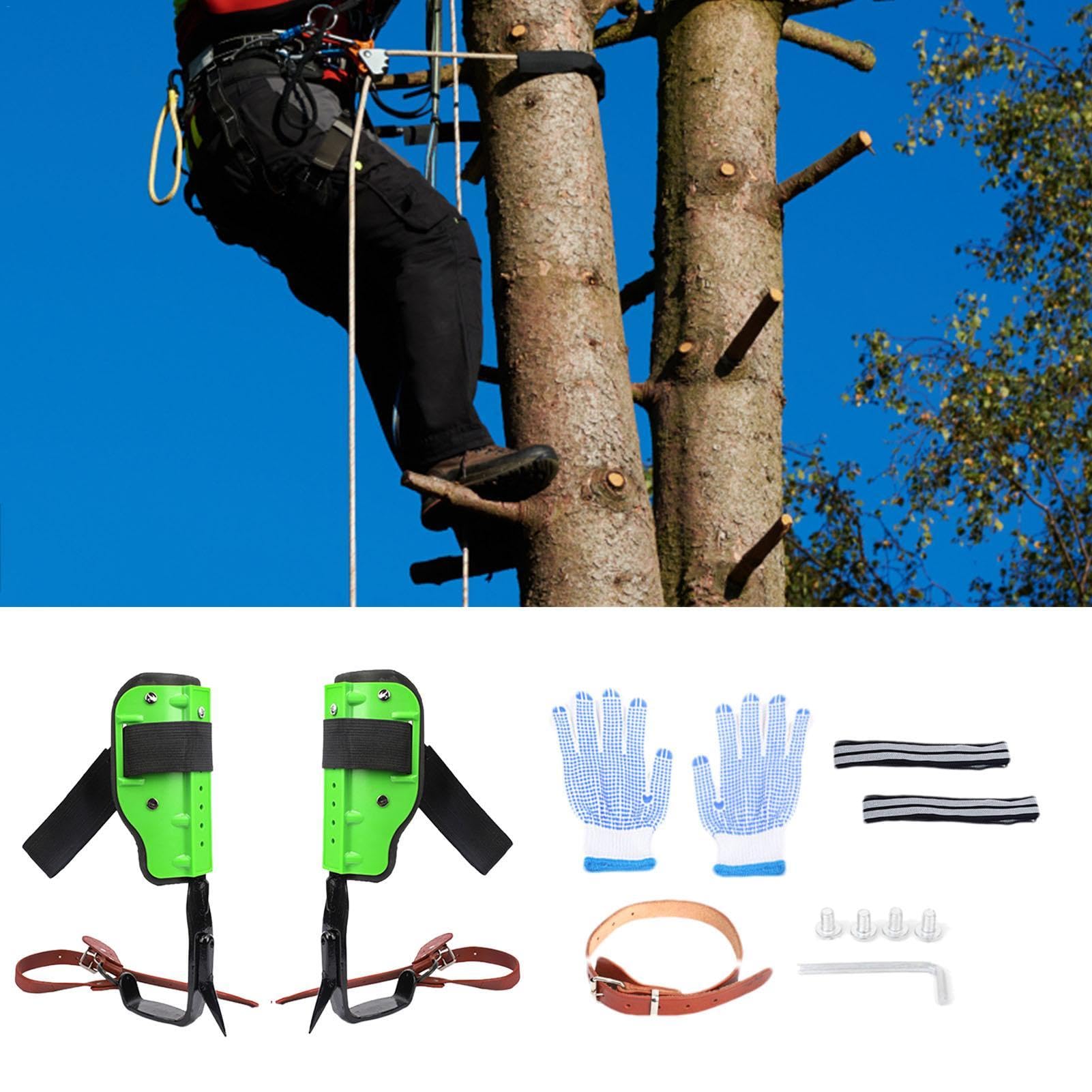 Picos para trepar árboles, Equipo para trepar árboles, Zapatos para trepar árboles, Equipo para trepar árboles, Garfios para trepar árboles Botas para trepar arbolistas, Zapatos para trepar árboles al