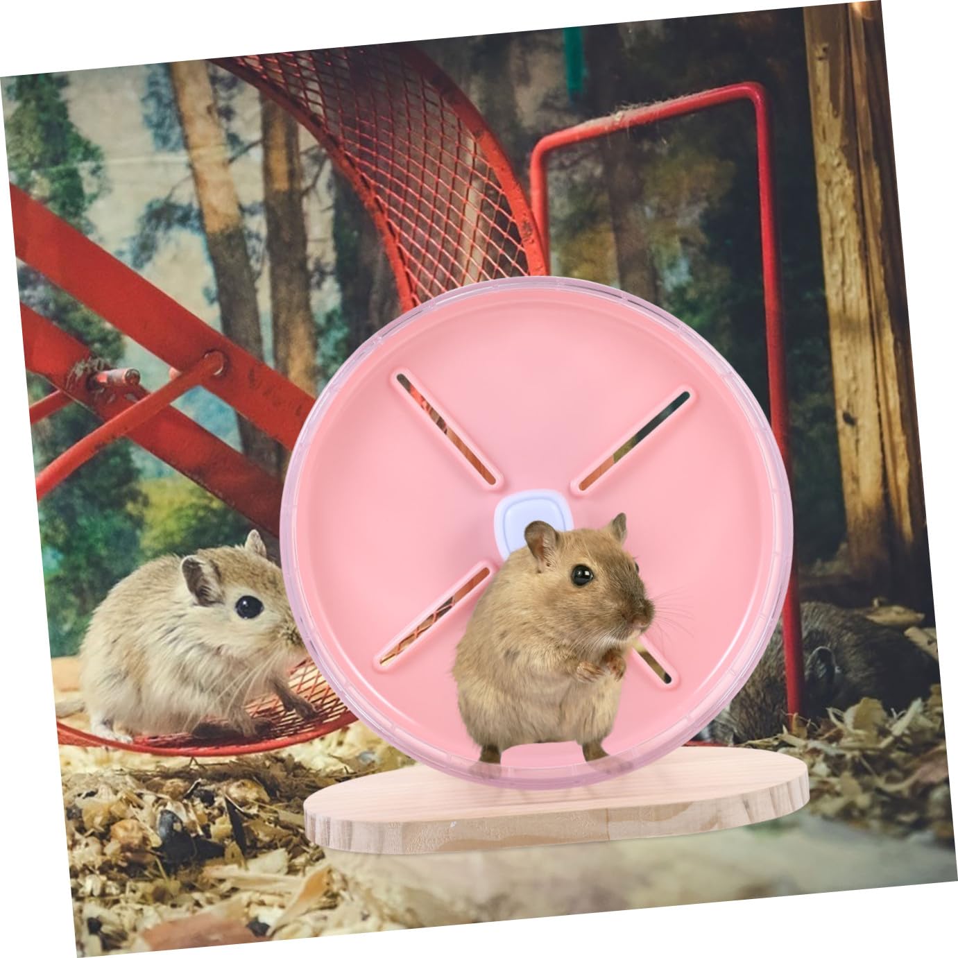 Roue Silencieuse pour Hamster avec Support Compacte et Durable pour Cage de Souris et Chinchilla Roue Dexercice pour Petits Rongeurs
