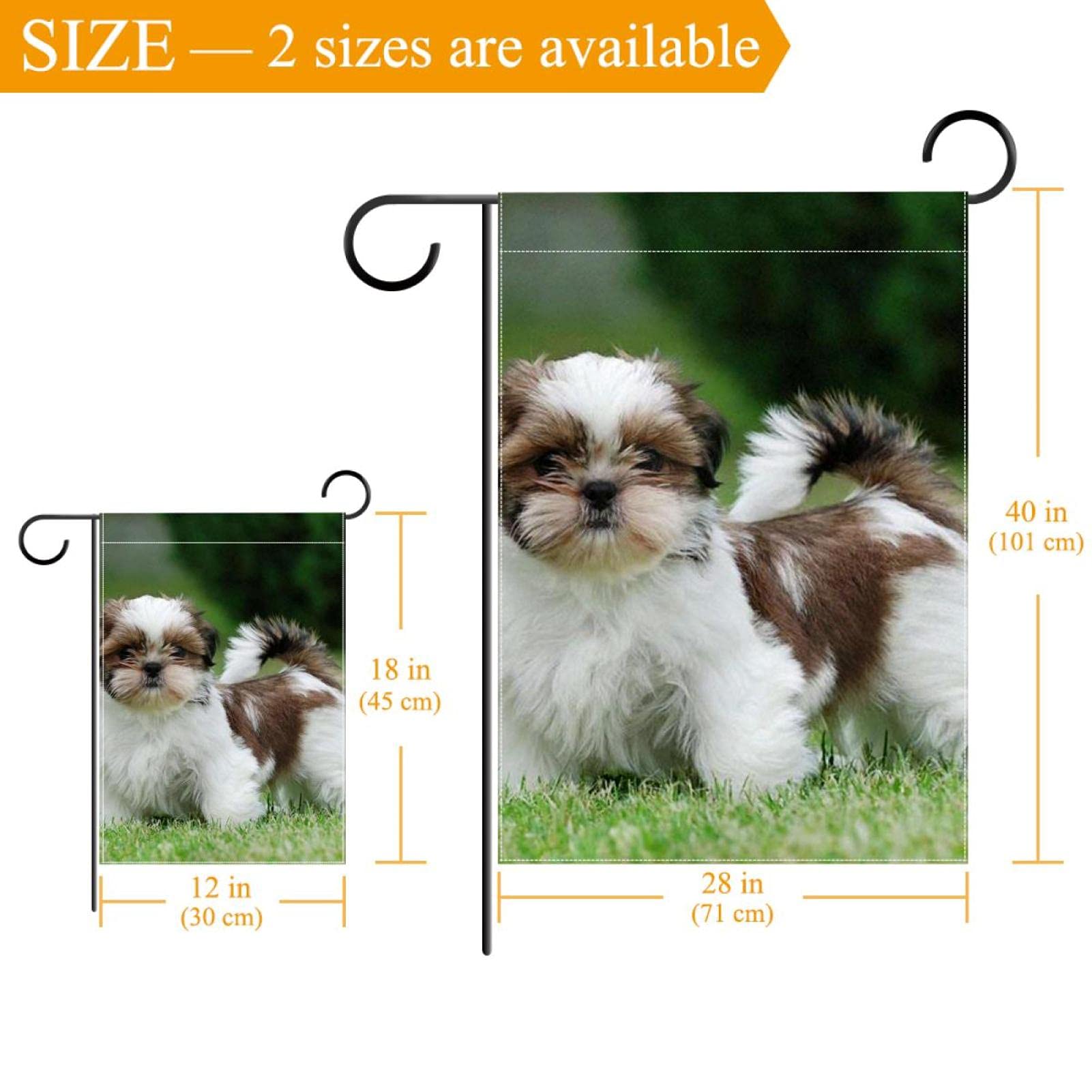 Mi Shih Tzu Necesita Un Abrigo