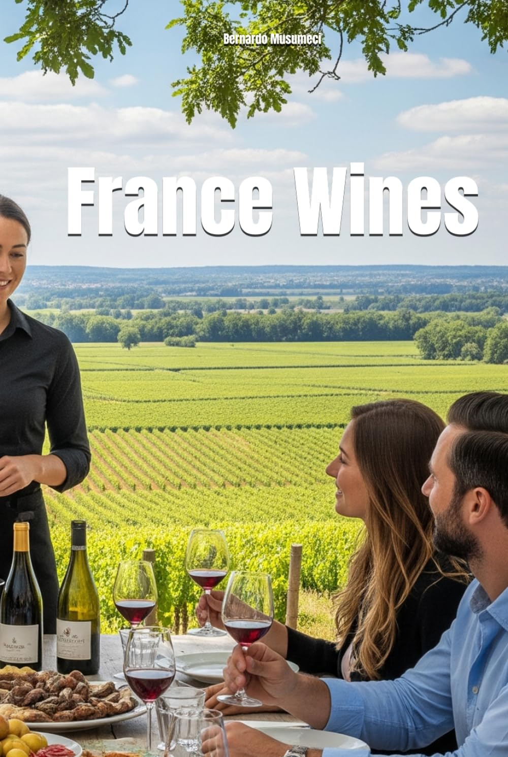 Wines of France (Wines of the World: France)