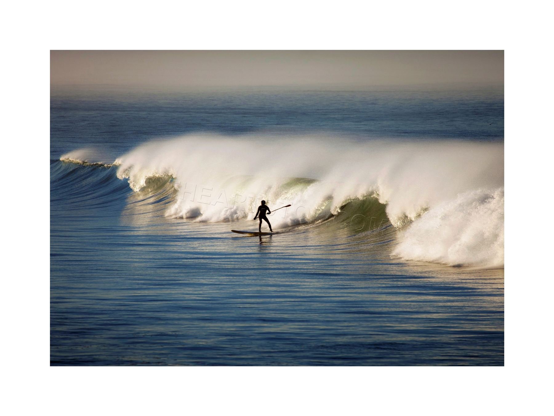 Wee Blue Coo Sport Photo Surfing Surf Surfer Ocean Wave Sea Cool Wall Art Print