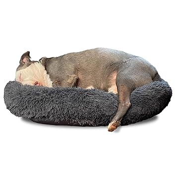 Alpha Paw Cozy Calming Bed for Dogs, Anti Anxiety, Ultra Soft, Washable (Large 32