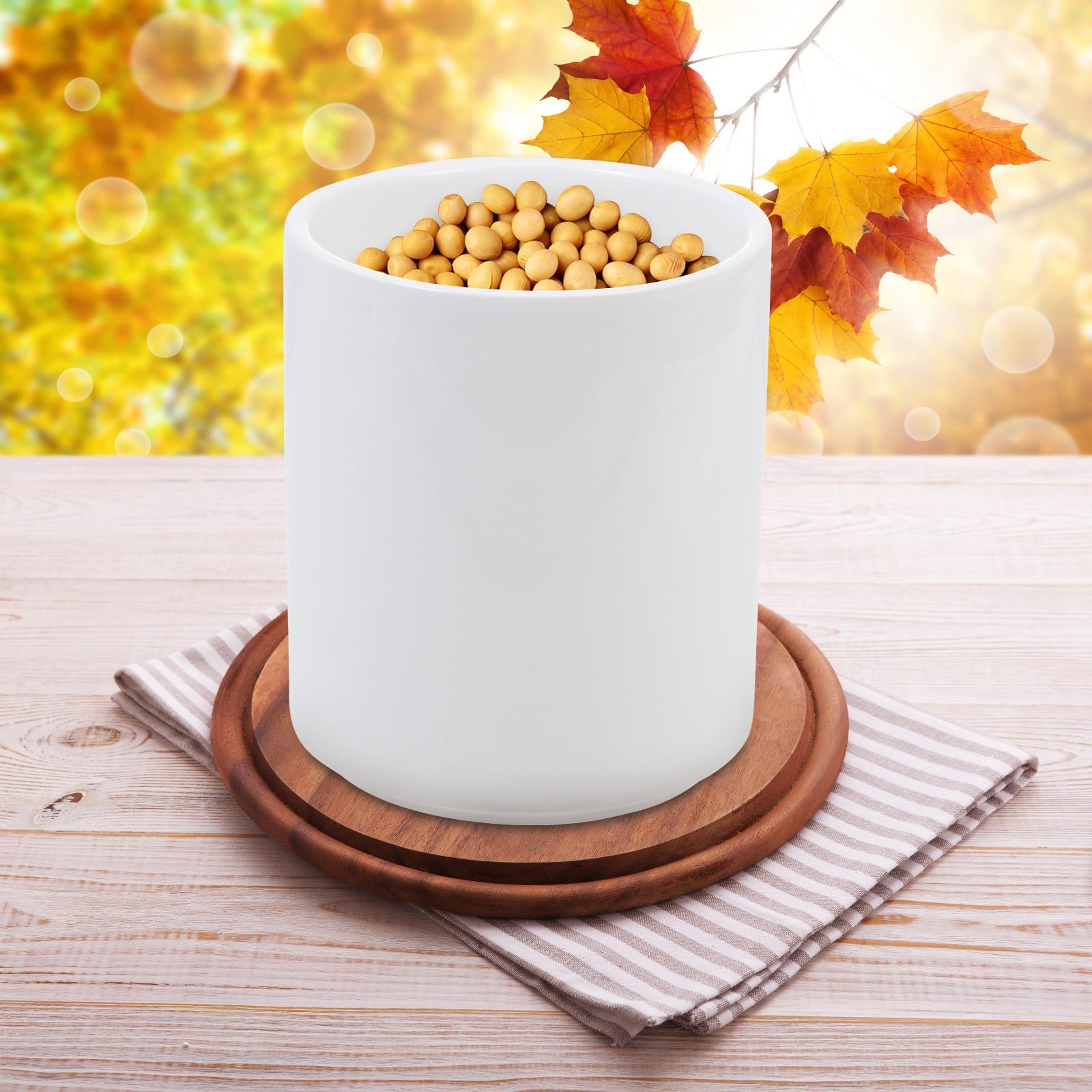 TOYANDONA Contenitore Caffè Sottovuoto in Ceramica Bianco 650ml Coperchio Ermetico e Design Nordico per Conservazione Alimenti e Decorazione Casa