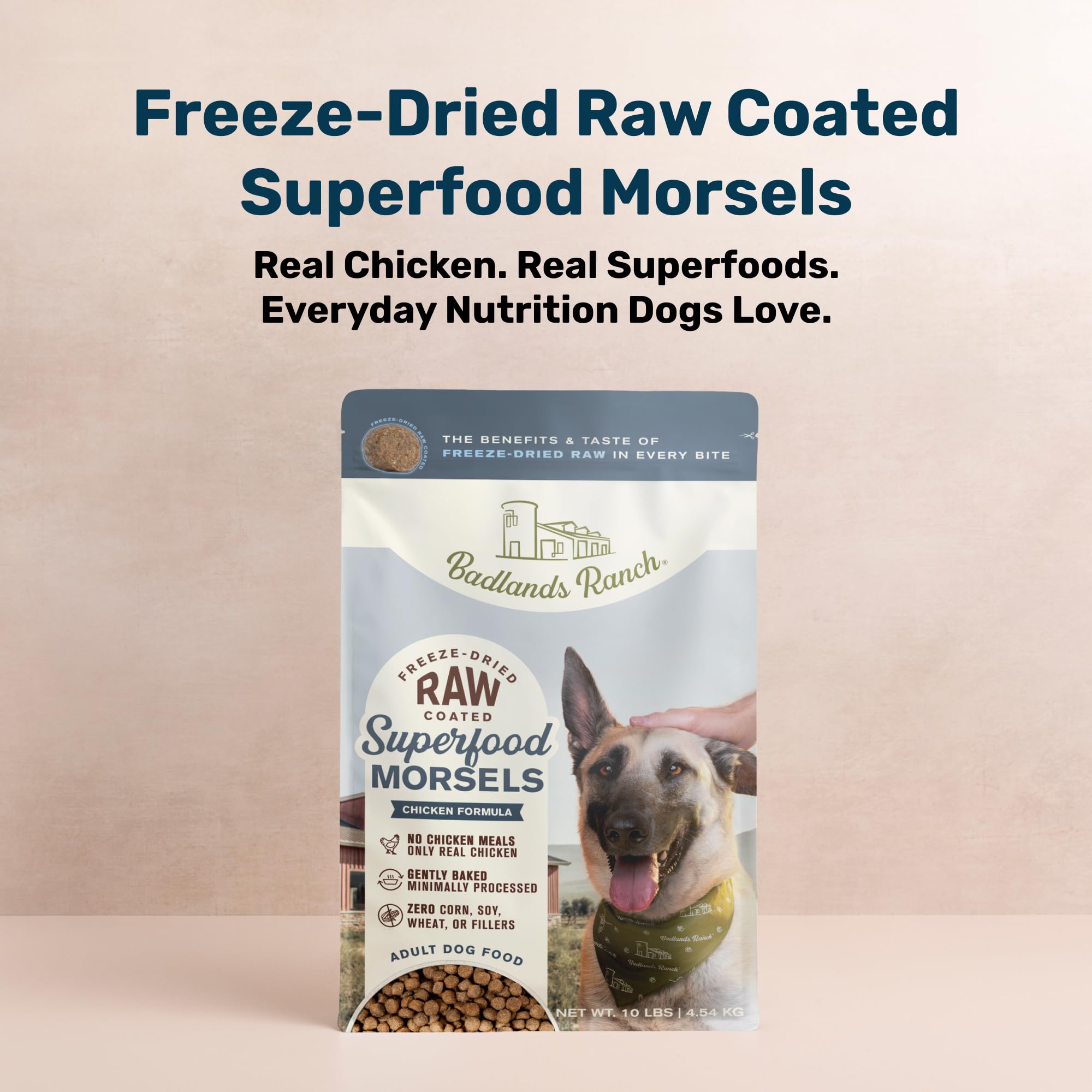 Amazon.com: BADLANDS RANCH Superfood Morsels Chicken Formula Dry