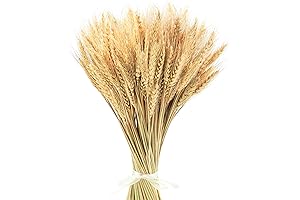 Uieke Decorative Wheat: Enhance Your Ambiance with Natural Elegance