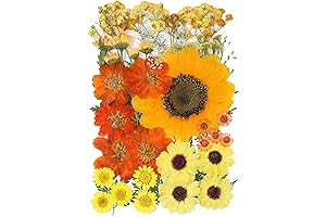 50 Pcs Dried Flowers for Resin Crafting,Best Picked Kit for Art Crafts,Candle,...