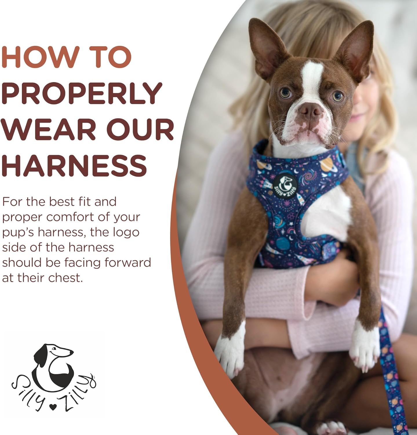 No Pull Harness and Leash Set - 6-in-1 Adjustable Vest Harness and Collars for Medium and Large Dogs. (Lemon, Large)