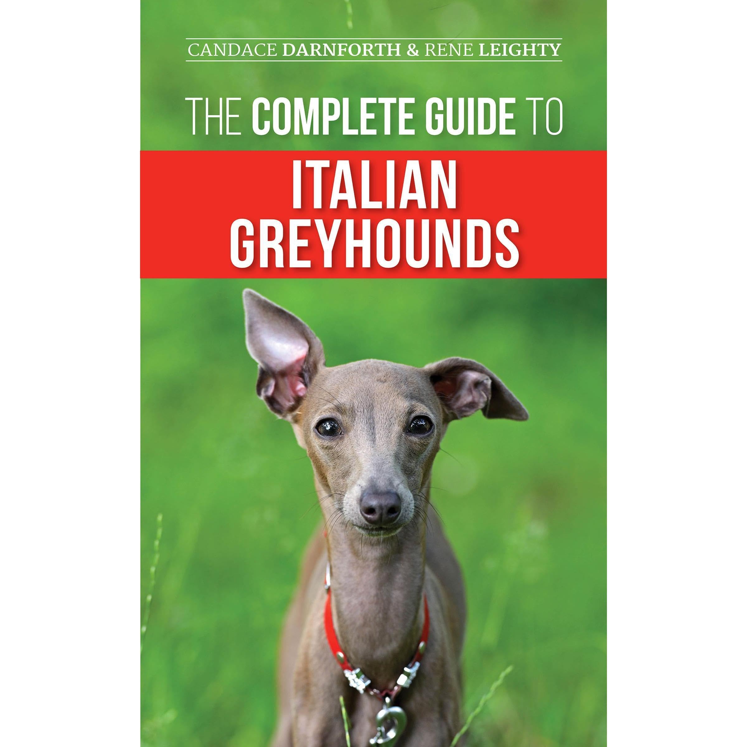 The Complete Guide to Italian Greyhounds