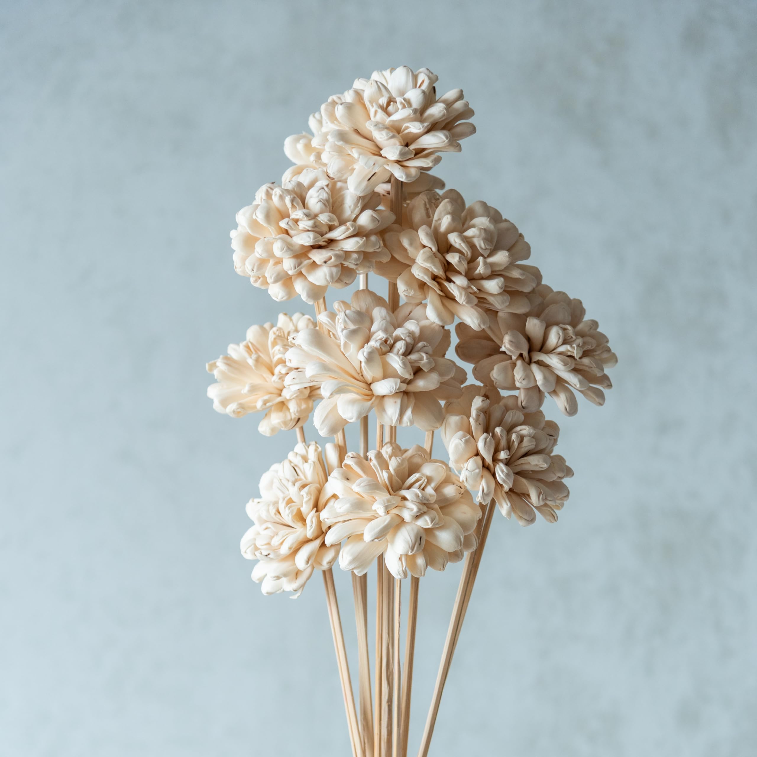 Flowers and Fillers || White Sola Fancy Flower 8 cm On Stem (10 Sticks) |Natural Dried Flower |Eco-Friendly Flowers for Home,Office,Bedroom,Table Decoration and Craft Items Corner (Without Vase Pot)-image-34