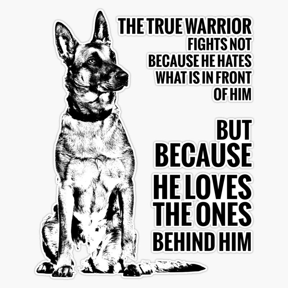 Malinois - Belgian Shepherd - Mechelaar Vinyl Waterproof Sticker Decal Car Laptop Wall Window Bumper Sticker 5