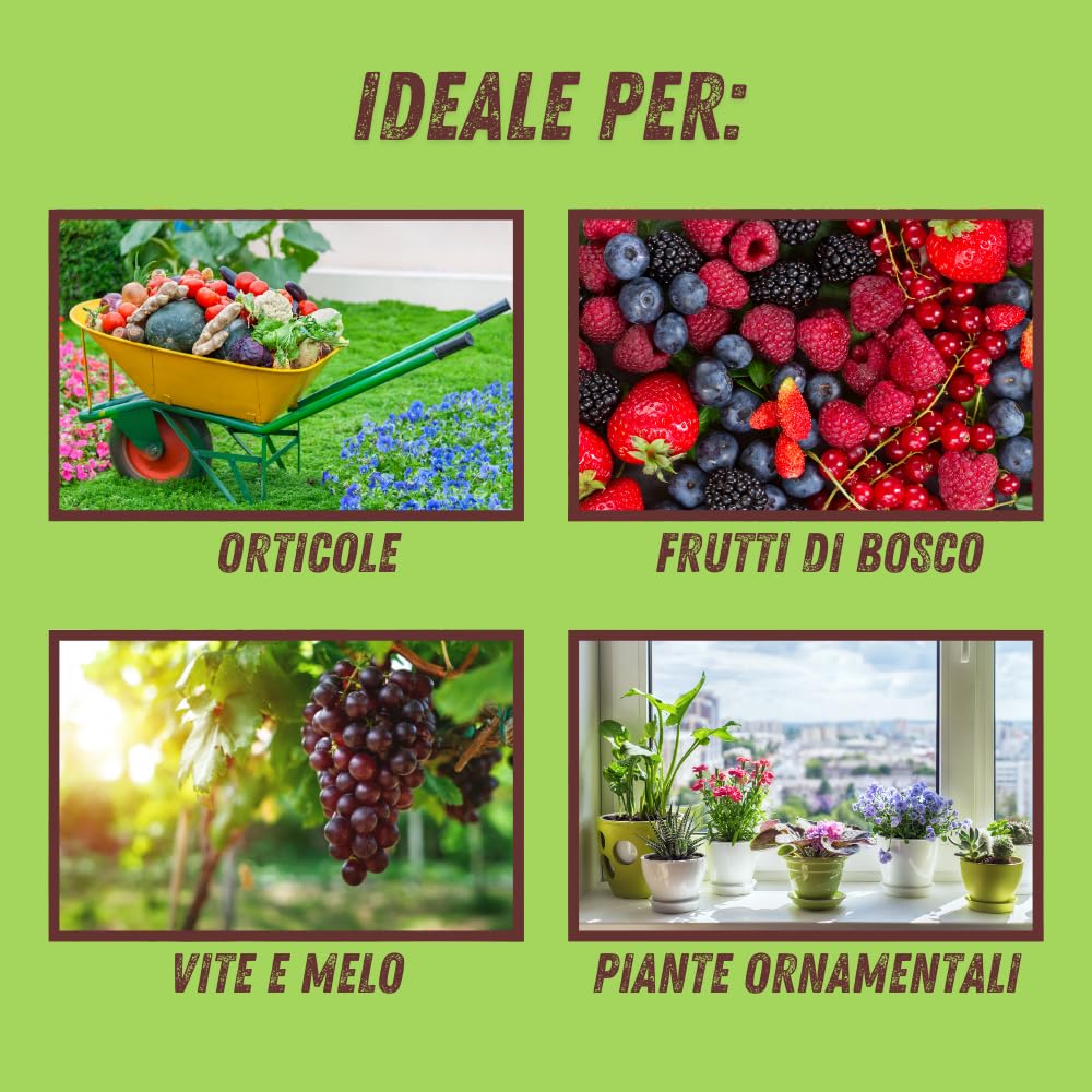 VITHAL Fungicida Per Piante in Polvere - a base di Idrogeno Carbonato di Sodio, Protezione Naturale per Piante Ornamentali ed Edibili, Efficace Contro Oidio e Ticchiolatura, 350g
