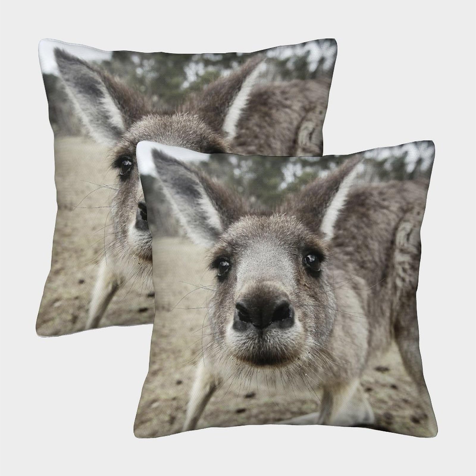 HWEICOIN 3D Printed Kangaroo Square Pillowcases Dinosaurs Square Throw Pillow Decorative Super Soft Pack of 2 for Patio,Couch, Tent, Balcony And Sofa 40x40cm