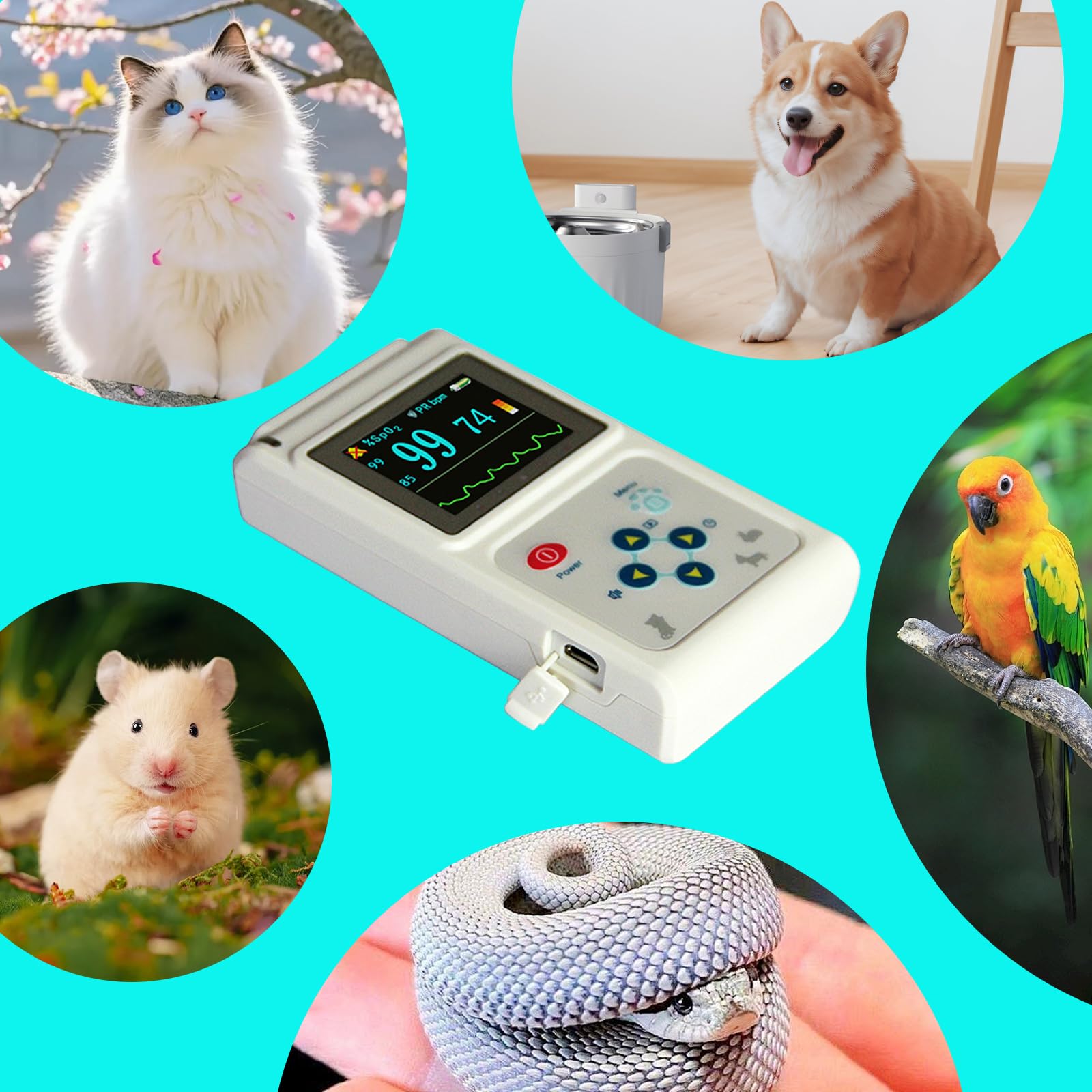 Pulsossimetro veterinario con batteria ricaricabile per SPO2 accurato e monitoraggio della frequenza cardiaca in animali domestici a casa o in clinica