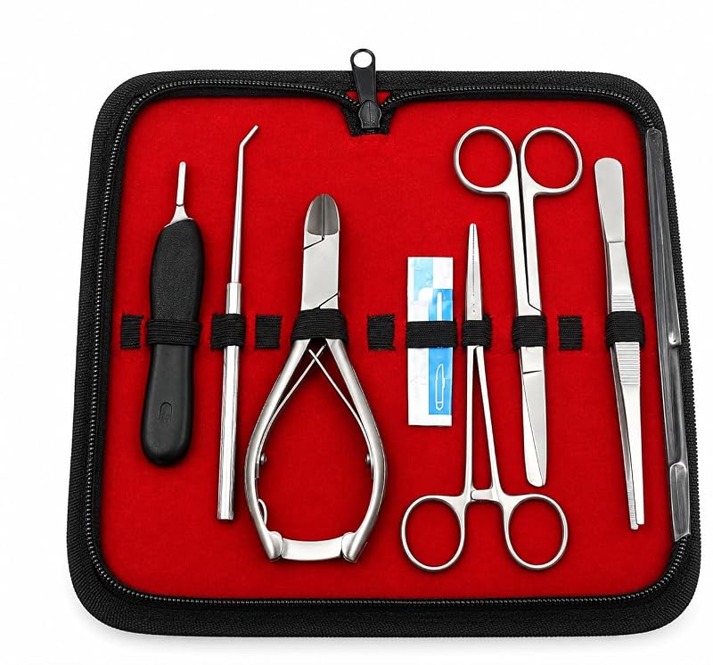 Kit de ferramentas para propagação e fragmentação de corais DDP CRL-0031, aço inoxidável, 7 peças