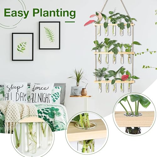 Vista 25 de XXXFLOWER Estación de propagación para colgar en la pared con soporte de madera, 5 tubos de ensayo de vidrio, 3 macetas escalonadas, terrario