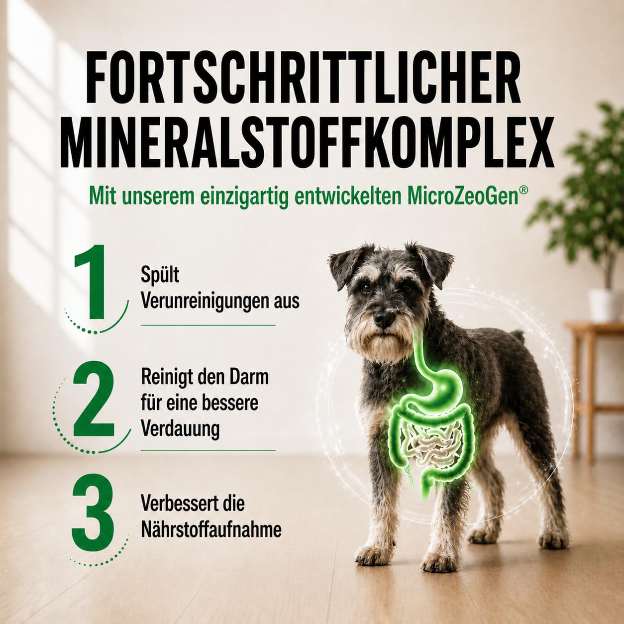 Nature's Protection Superior Care Sensitive Hundetrockenfutter, Lamm 10 kg | Formel für empfindliche Haut & Magen, Verdauungsschonend, Hypoallergen, Getreidefrei, Erwachsene Hunde aller Rassen