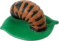 Vista 4 de Insect Lore estados del ciclo de la vida de mariquita