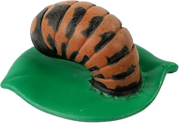 Insect Lore Ladybug Life Cycle - 4 PC Insect Figure Shows Life Of Lady Bug