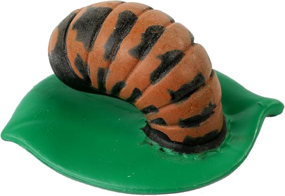 Insect Lore Ladybug Life Cycle - 4 PC Insect Figure Shows Life Of Lady Bug