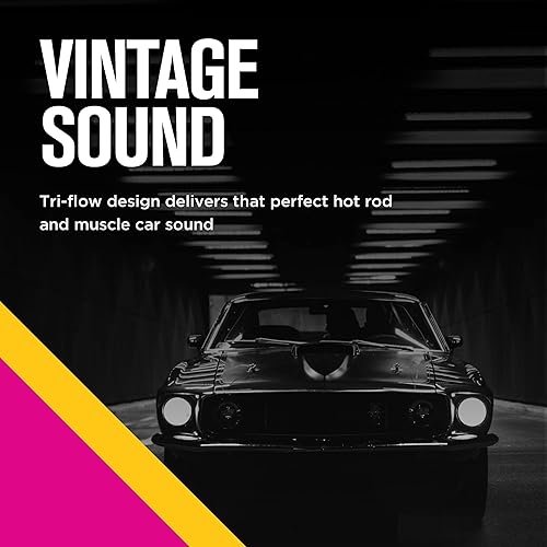 Miniatura 2 de Thrush 17636 Silenciador de silencio