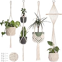 Nook Theory 4-Pack Cream Macrame Plant Hangers with 8 Hooks - Boho Indoor Outdoor Hanging Planters for Pots up to 10"
