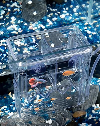Pawfly Caja de cría de acuario - Incubadora de plástico transparente para criaderos de papas fritas para peces bebés, camarones, betta, pez payaso