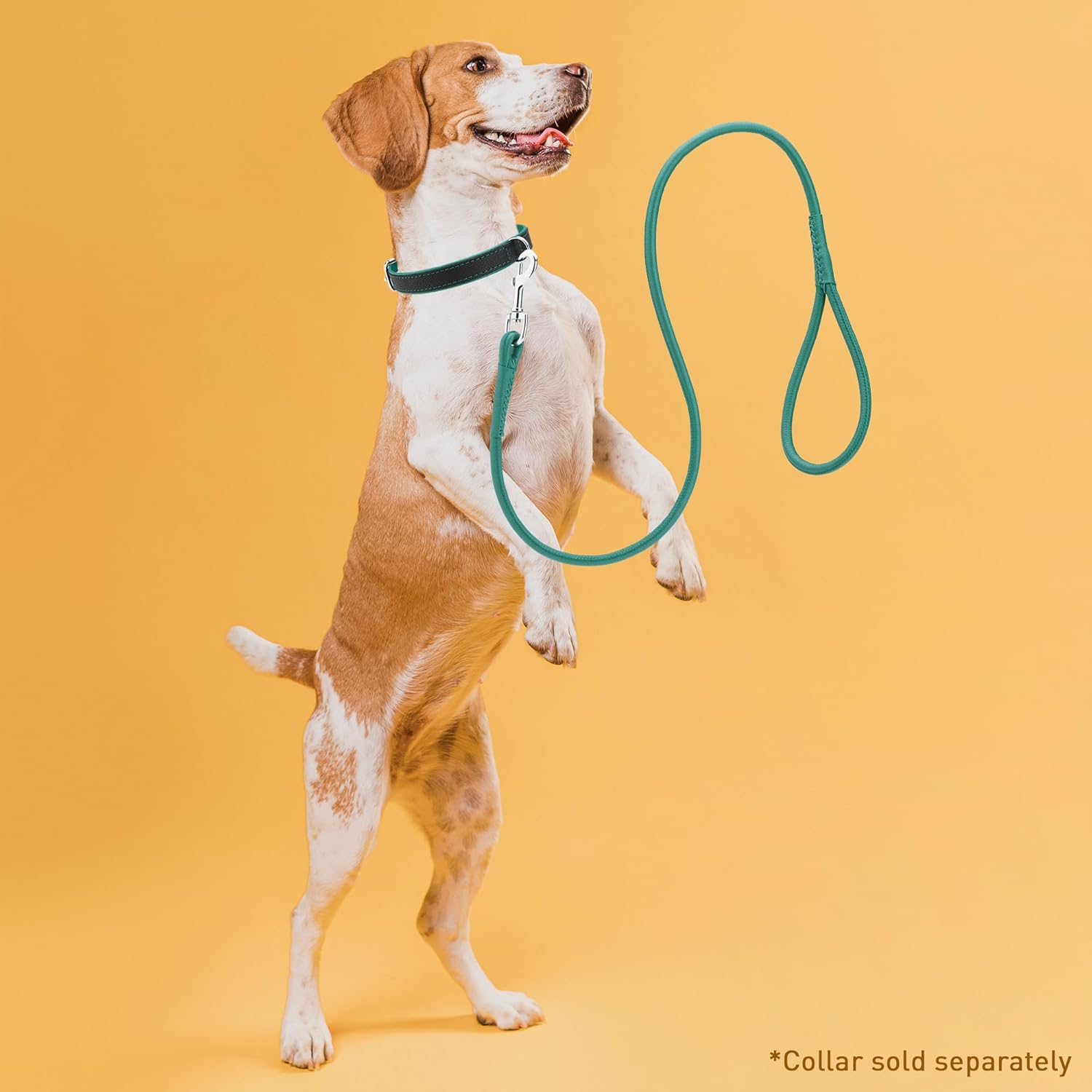 Dogline Soft and Padded Rolled Round Leather Leash for Dogs W3/8" - L48, Teal